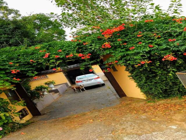 #21 - Casa para Venda em Gravataí - RS - 1