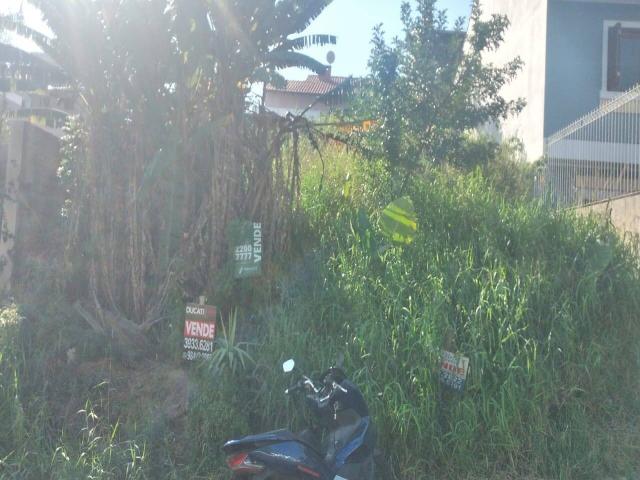 #53 - Terreno para Venda em Porto Alegre - RS - 1